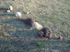 Anatomy of a Baseball