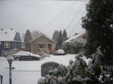 dscn0778 Snowing 12-18-08