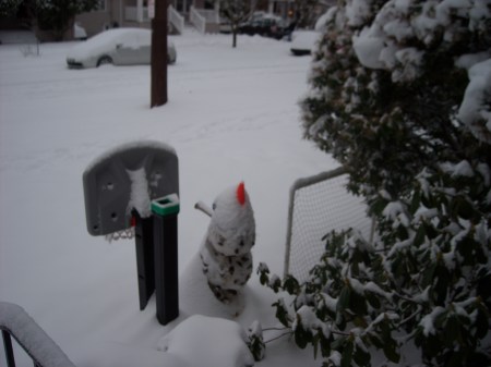 December 21 2008 - Snowman's back with new white trim on his hat
