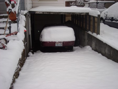 Weekend snow on Vinny, Sunday night snow on the pavement