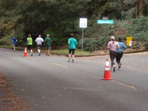2009 Seattle marathon 2009 Seattle marathon