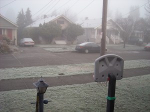 Frosty December Morning