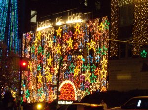 DSCN1434 Canada's Health Care System - all dressed up