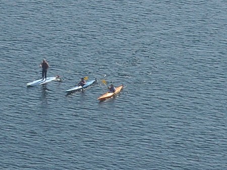 Paddle board (the newest trend) and kayaks