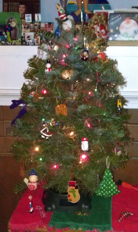 Our 2012 Christmas Tree