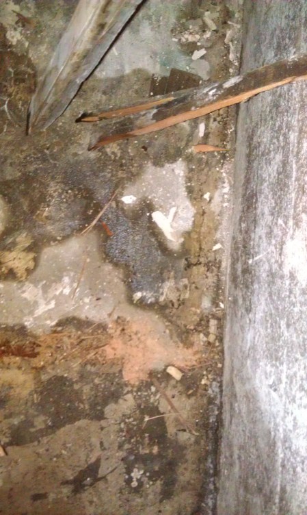 seeps near the west wall (the dark areas)