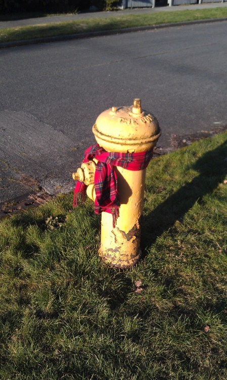 Don't want the water freezing after all