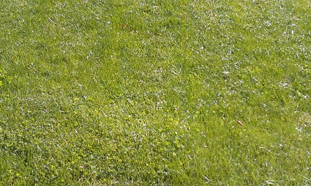 So inviting in the warm sun