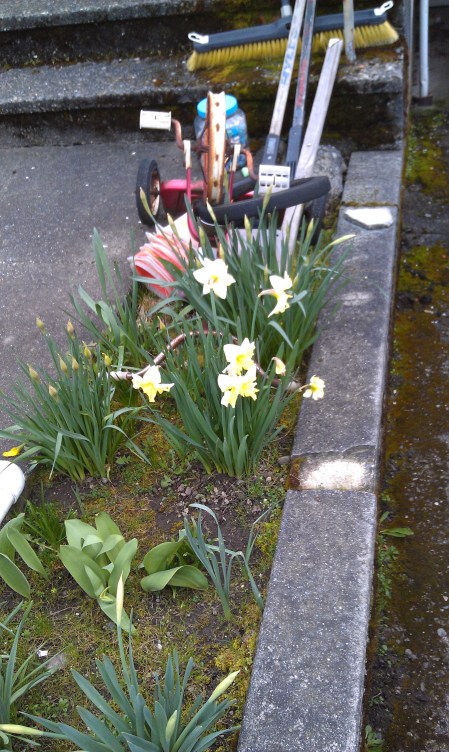 Spring is springing - before the equinox