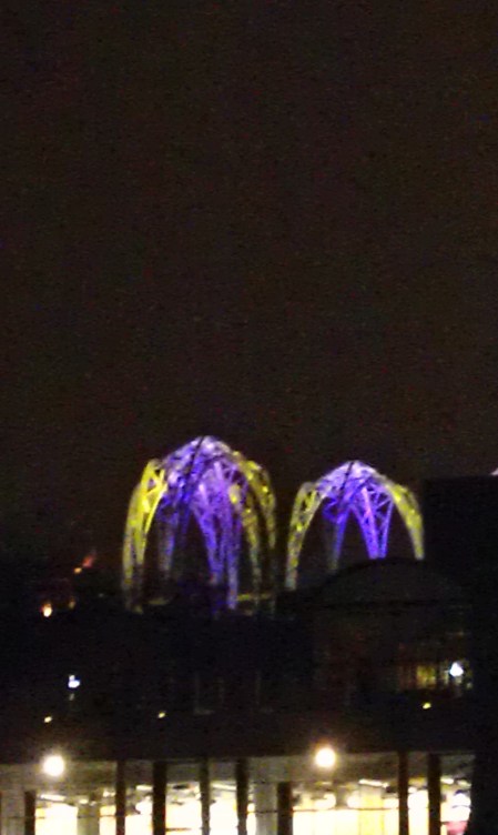 Science Center Husky Colors