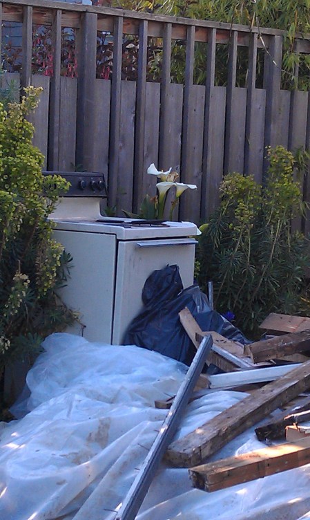 Appliances amoung the Calla Lilies