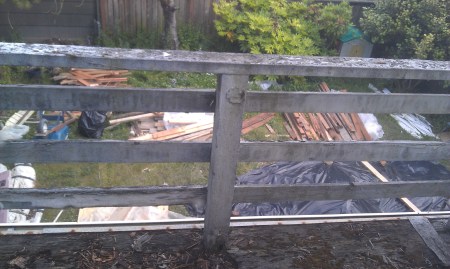 6-24-2013 View of the backyard piles