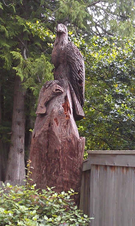 Eagle and salmon