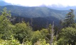 7-23-2013 Clingmans Dome&nbsp;(26)
