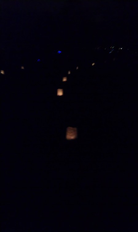 2013 Luminaria