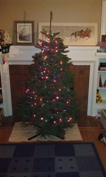 12-24-2013 - finally tree