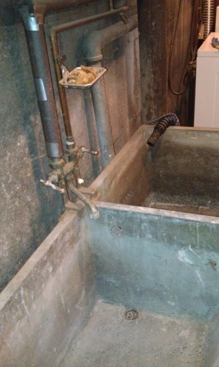 Old leaky sink - spider home galore