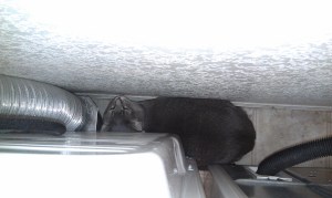 Wall to the top, dryer to the bottom