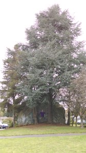 Erratic rock - Carl for scale