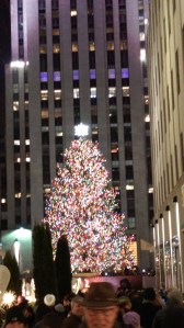 A slightly larger tree