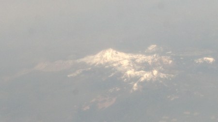Shasta