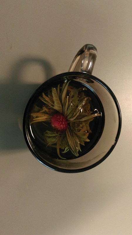 wp-1445569426897 image