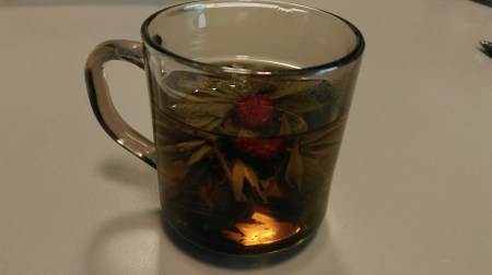 wp-1445569441019 image