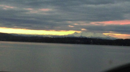 wp-1454512994440 image