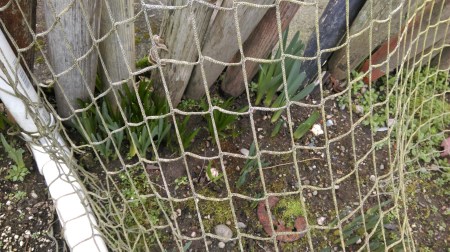 wp-1454811298969 image