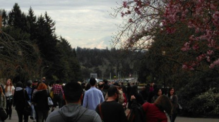 wp-1458569156891 image